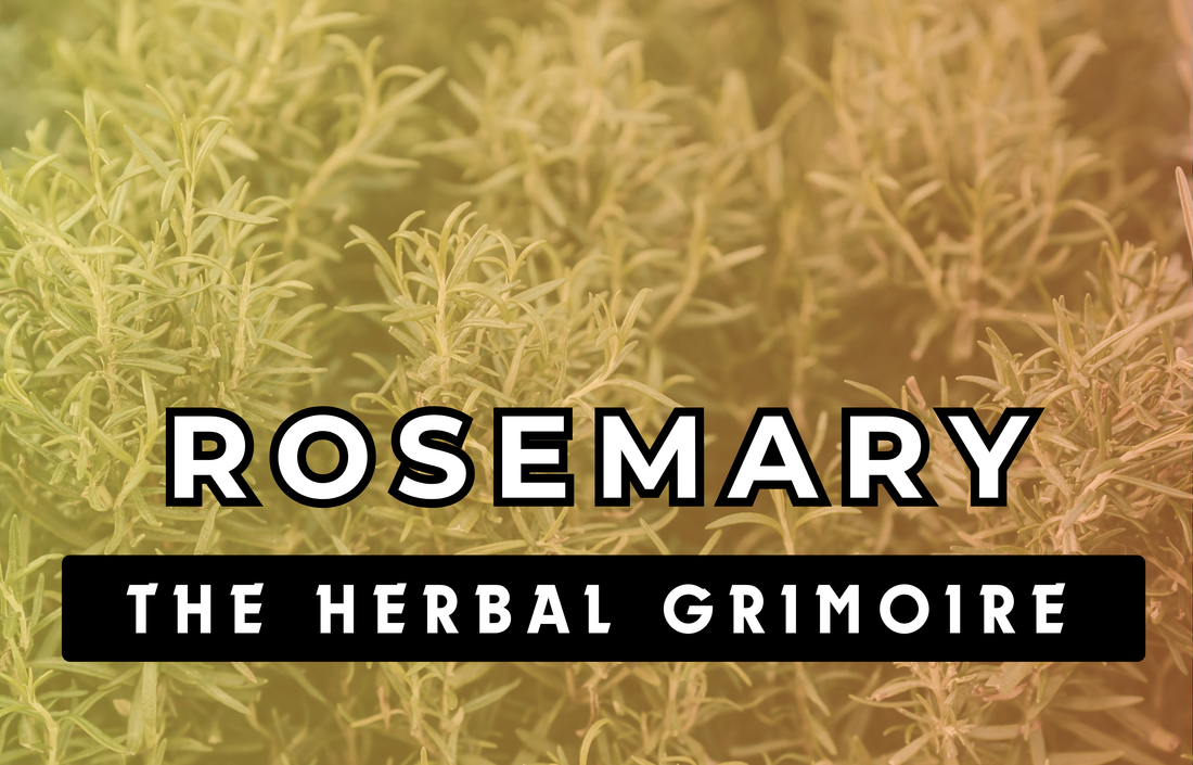 Rosemary - The Herbal Grimoire