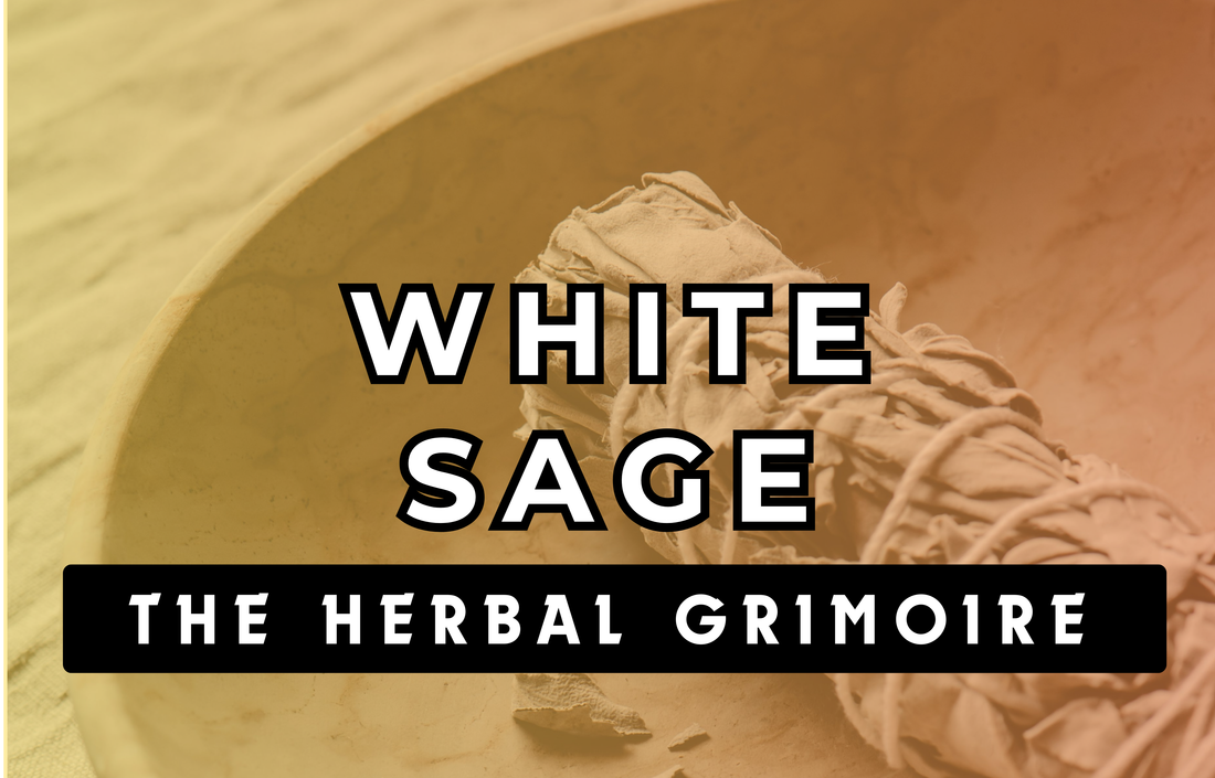 White Sage - The Herbal Grimoire