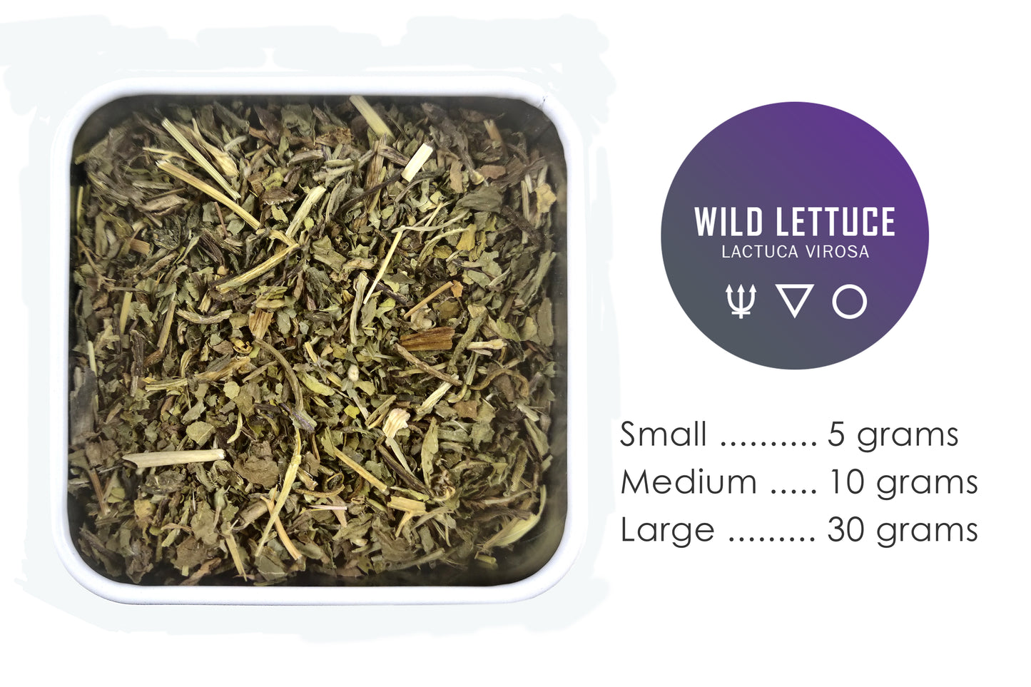 Spellwork Botanicals | Wild Lettuce